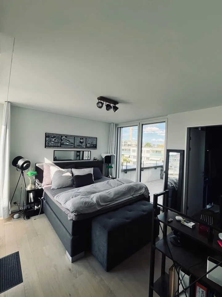 Furnished Room in Rooftop Flat (for Sublet) Private Bathroom & 3 Terraces | Zurich
