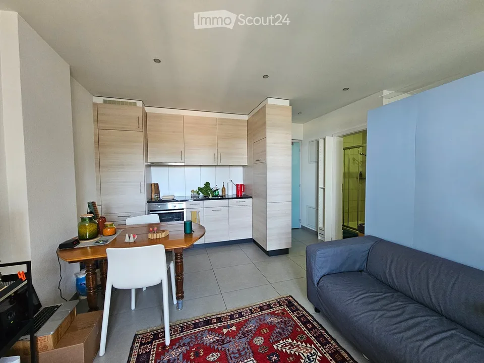 Charming 1.5 room attic apartment in Fribourg