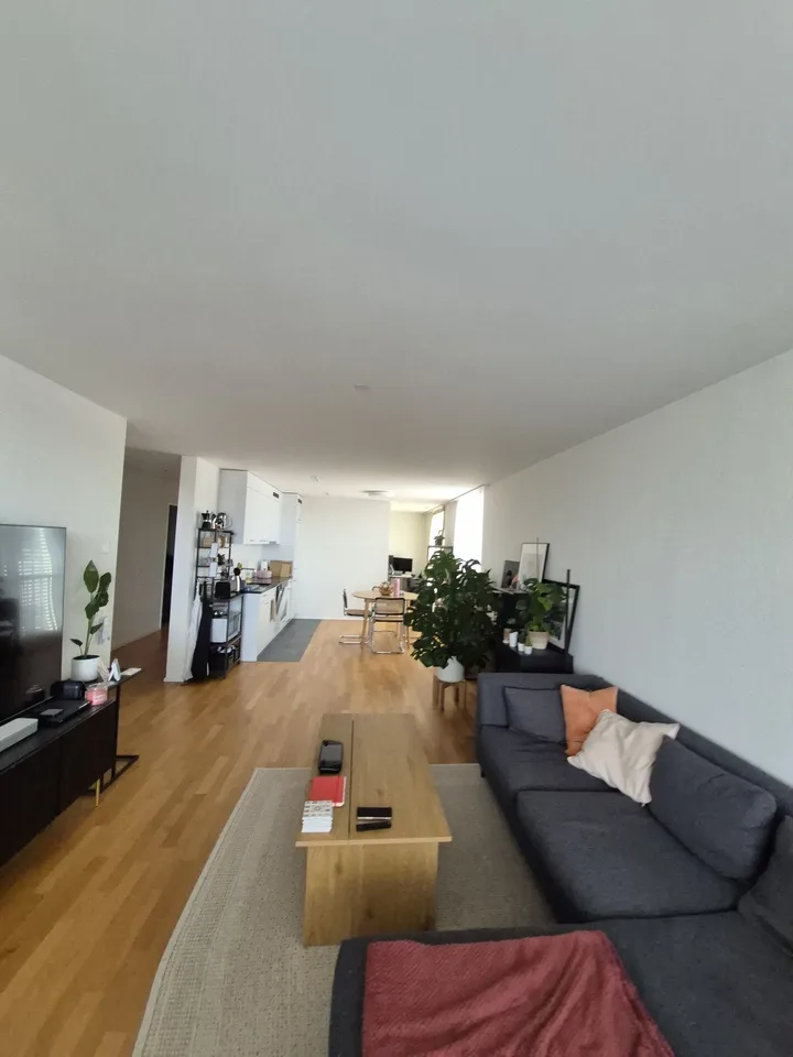 2 ½ Zimmer-Wohnung, 4663 Aarburg