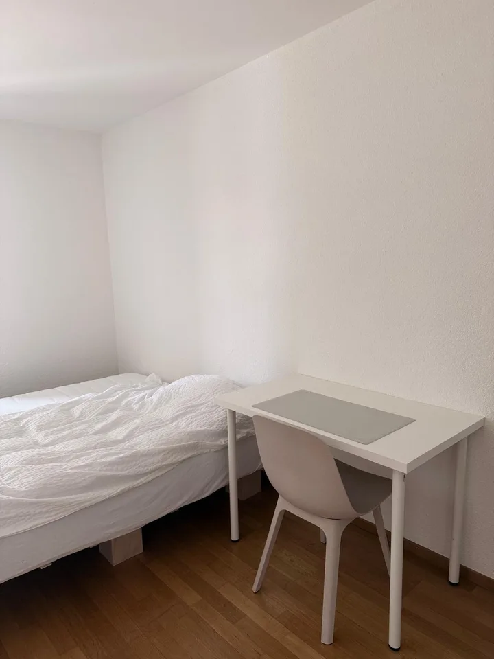 Big, comfy, central room in Zurich