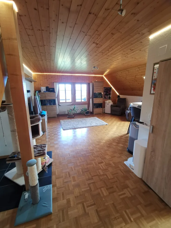 Camera a Goldiwil