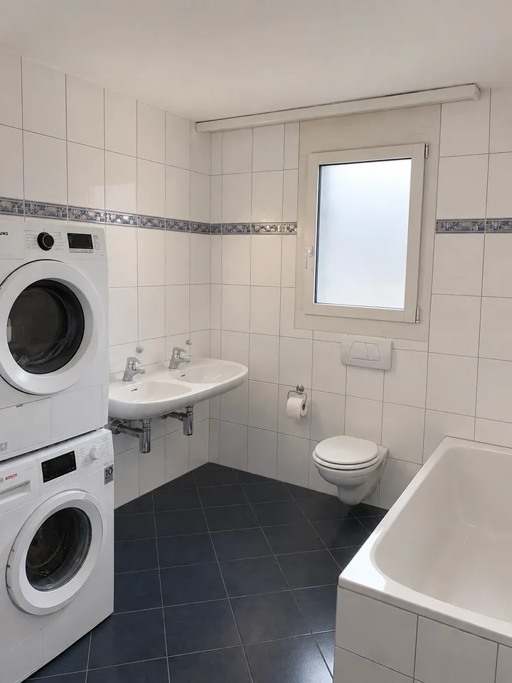 4.5-Zimmer Attika-Traum direkt an der Reuss – Foto 4 von 11