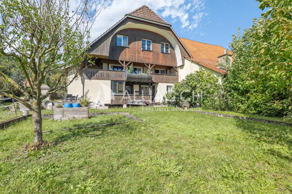 PFERDEHOF MIT PROJEKT FÜR 6 WOHNUNGEN – Foto 12 von 13