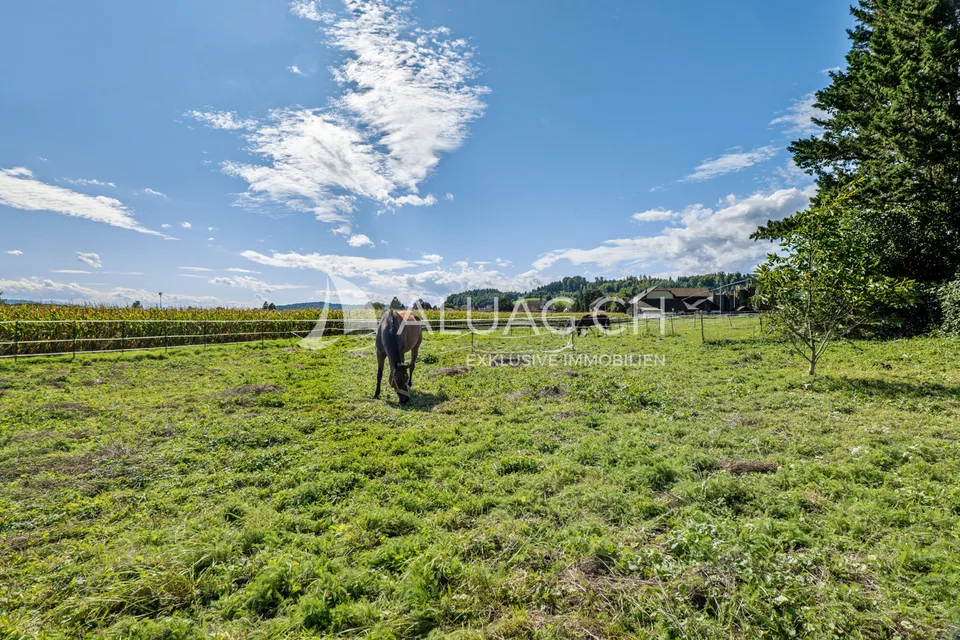 PFERDEHOF MIT PROJEKT FÜR 6 WOHNUNGEN – Foto 13 von 13