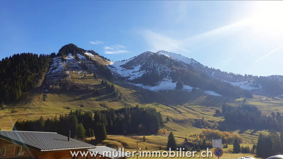 Grande chalet a Les Mosses con appartamenti e tea-room – foto 8 di 13