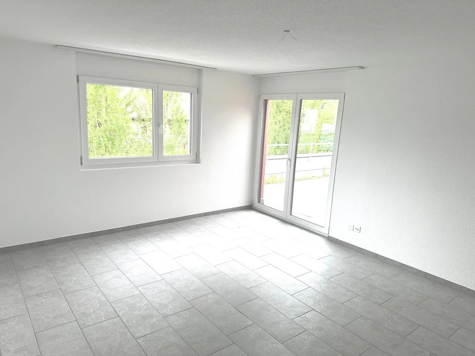 Appartement attique spacieux 6 pièces avec cheminée et grande terrasse