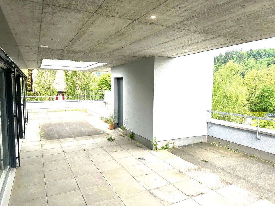 Appartement attique spacieux 6 pièces avec cheminée et grande terrasse