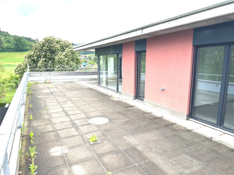 Appartement attique spacieux 6 pièces avec cheminée et grande terrasse