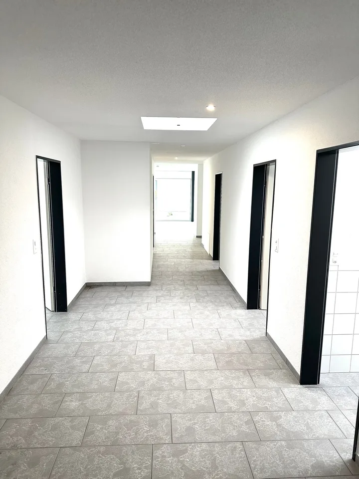 Appartement attique spacieux 6 pièces avec cheminée et grande terrasse