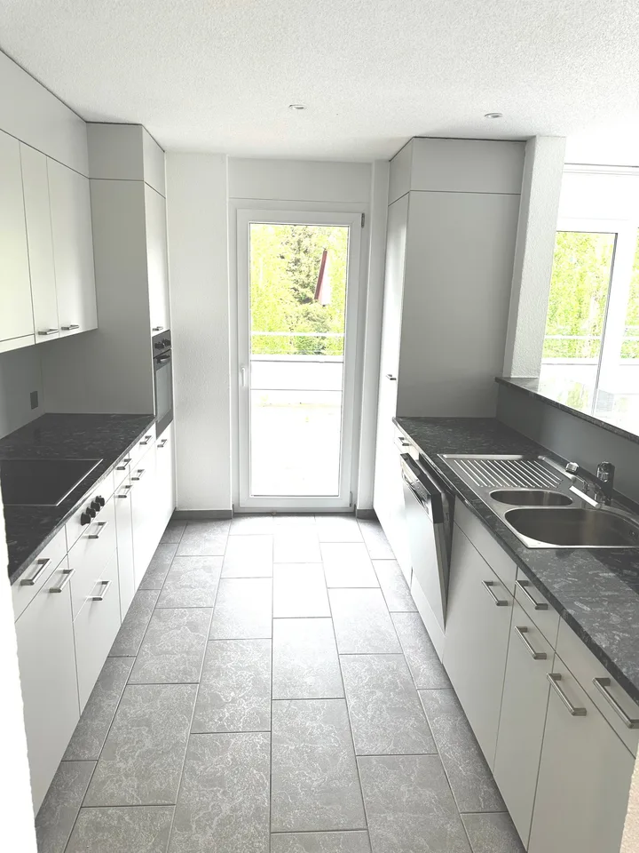 Appartement attique spacieux 6 pièces avec cheminée et grande terrasse