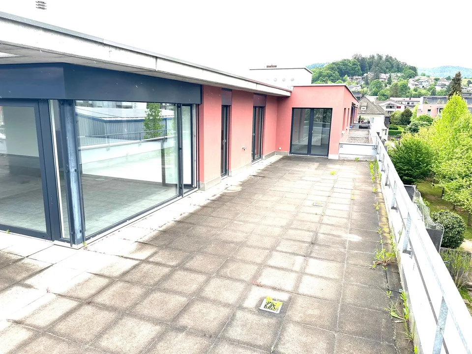 Appartement attique spacieux 6 pièces avec cheminée et grande terrasse