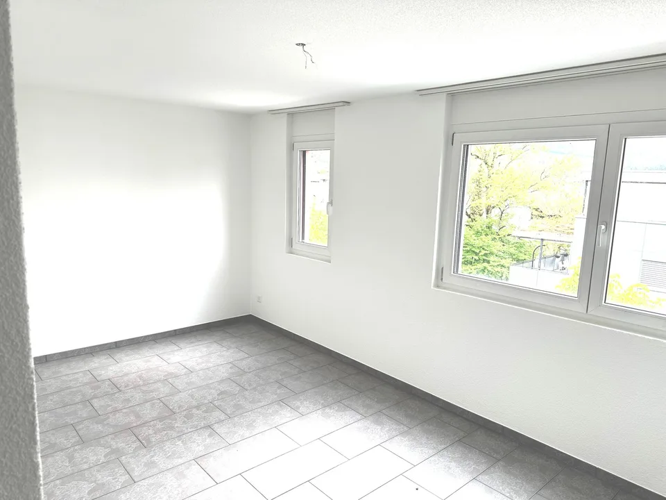 Appartement attique spacieux 6 pièces avec cheminée et grande terrasse