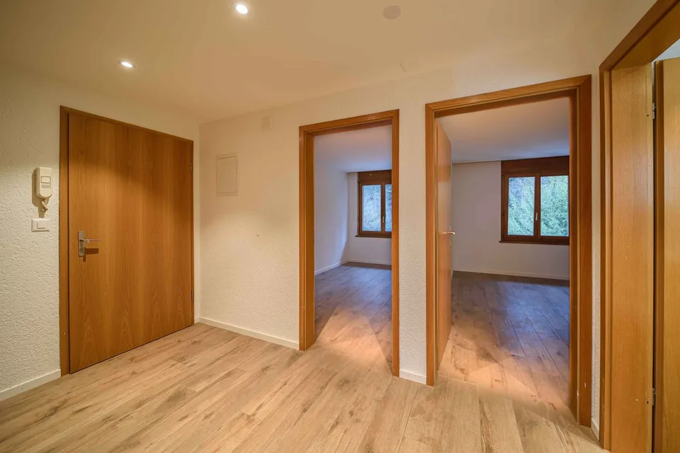 Appartamento di lusso 3.5 locali esclusivo – appena ristrutturato & pronto per essere occupato!