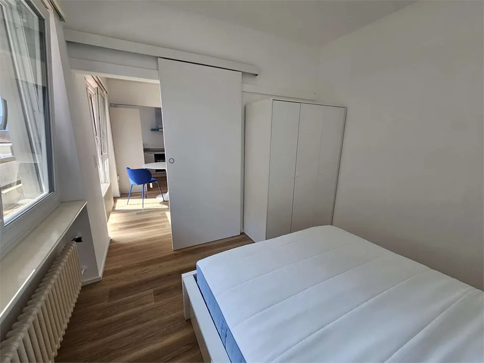 Masasgno, 2,5 Zimmer renoviert möbliert
