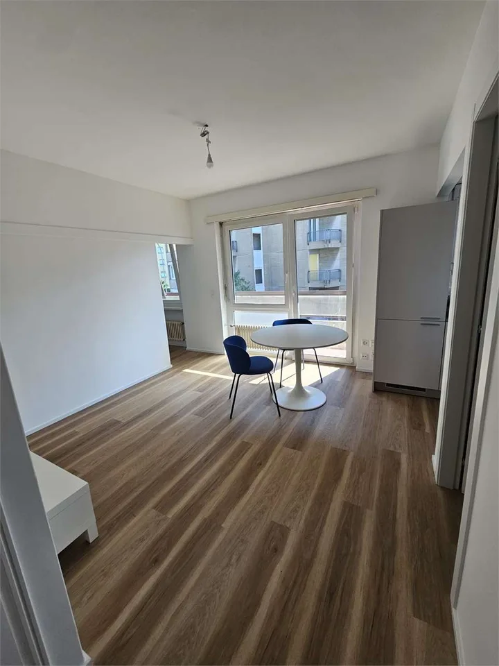 Masasgno, 2,5 Zimmer renoviert möbliert