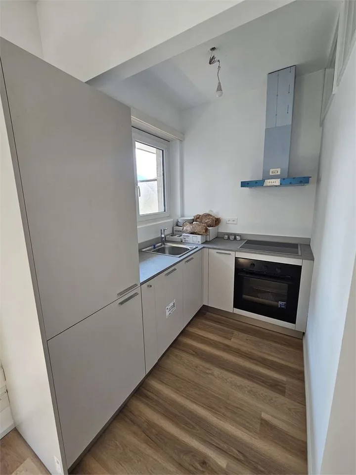 Masasgno, 2,5 Zimmer renoviert möbliert
