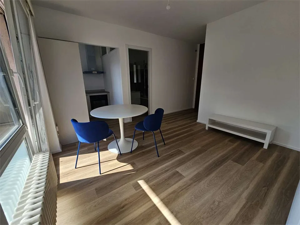 Masasgno, 2,5 Zimmer renoviert möbliert