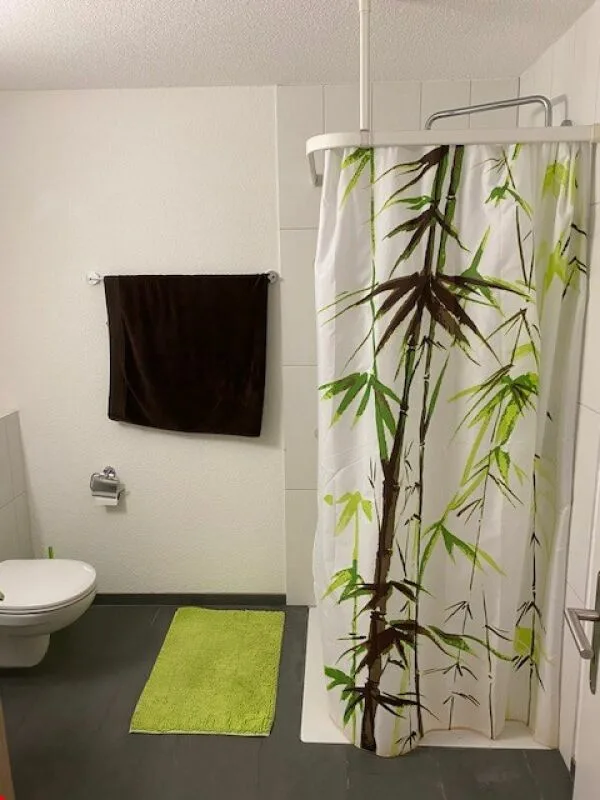 3.5-room apartment on the ground floor