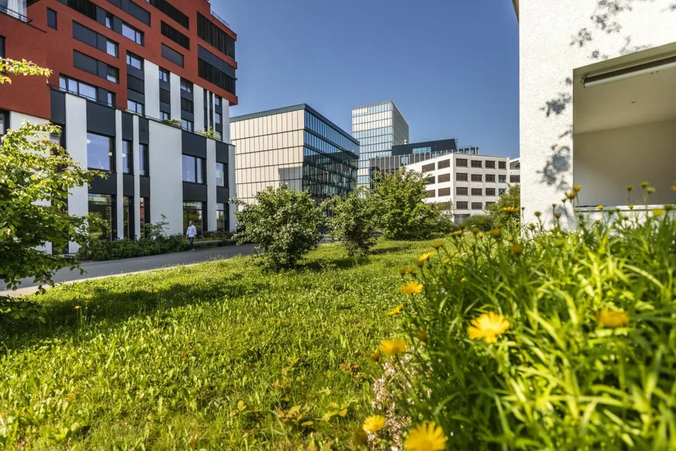 Premium Office Spaces | ab 700 m² | Hochwertiger Ausbau | Wirtschaftsraum Zug – Foto 11 von 12