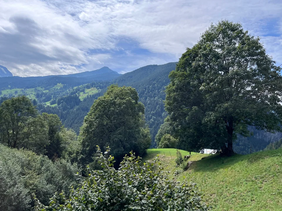 Casa di due famiglie situata in modo idilliaco a Grindelwald – foto 12 di 17