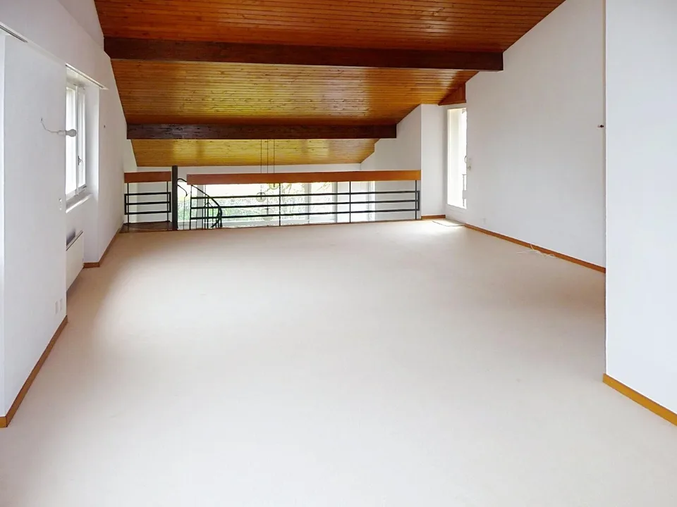 Family Villa with large garden ? Founex