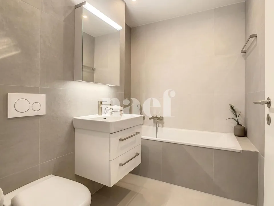 Appartement lumineux de 4.5 pces
