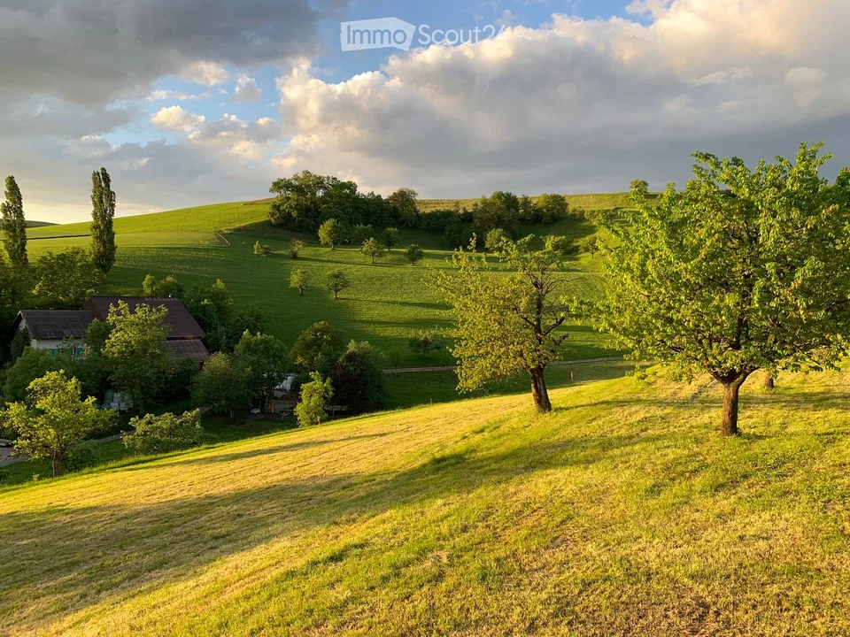 Rural, sunny, quiet shared apartment room