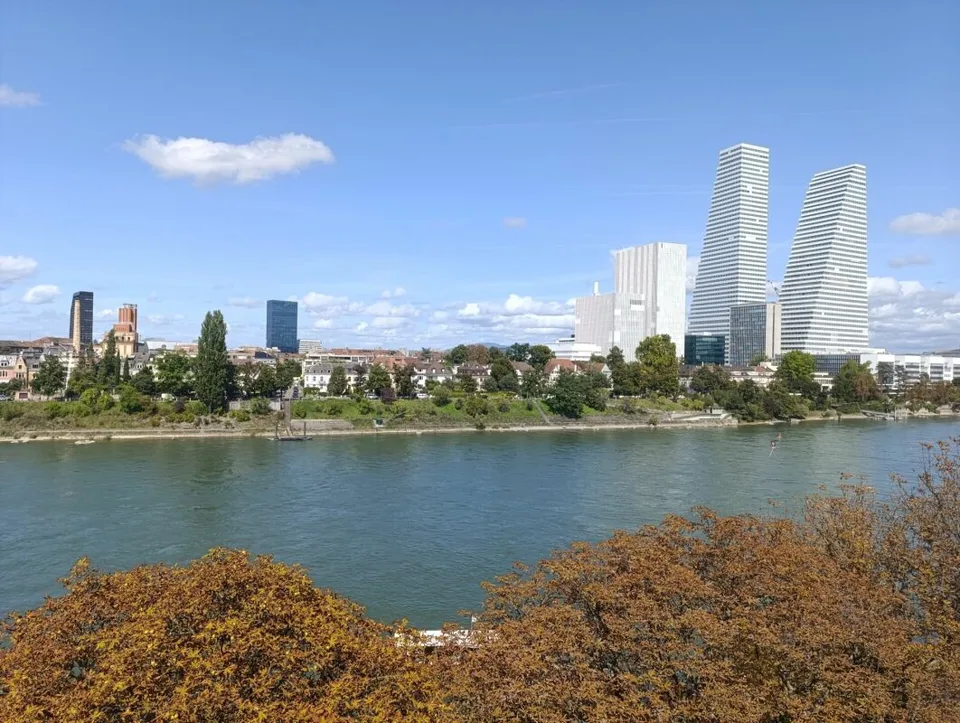 Wohnen direkt am Rhein (St. Alban-Tal) – Foto 9 von 10