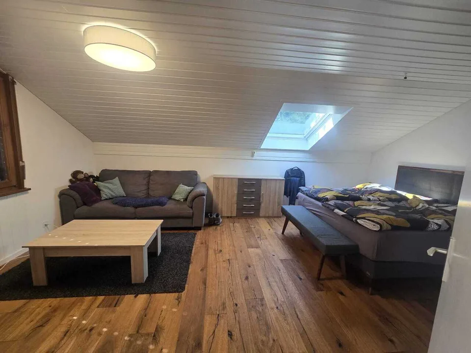 For rent - Magnificent 5.5-room duplex with panoramic view of the lake