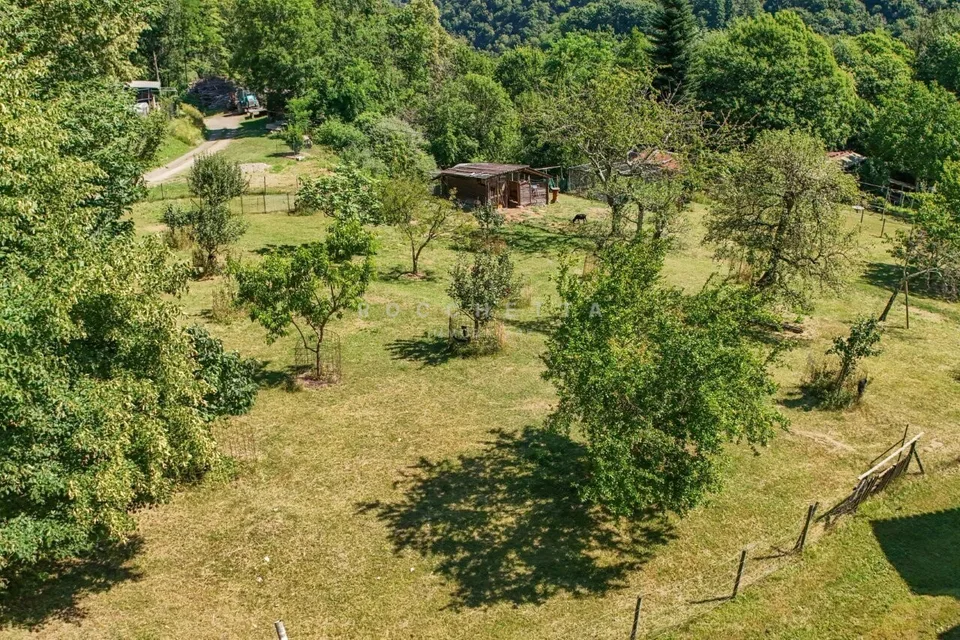 Paradiso naturale con incantevole vista, terreni agricoli e boschivi – foto 5 di 13