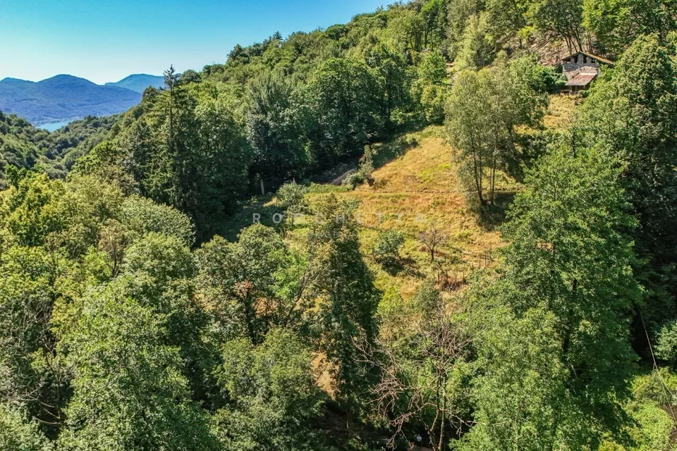 Paradiso naturale con incantevole vista, terreni agricoli e boschivi – foto 12 di 13
