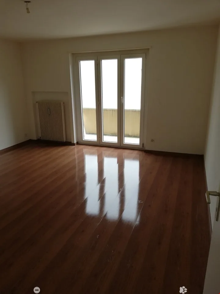 Ampio appartamento ristrutturato 3.5 locali con 2 balconi – foto 5 di 9