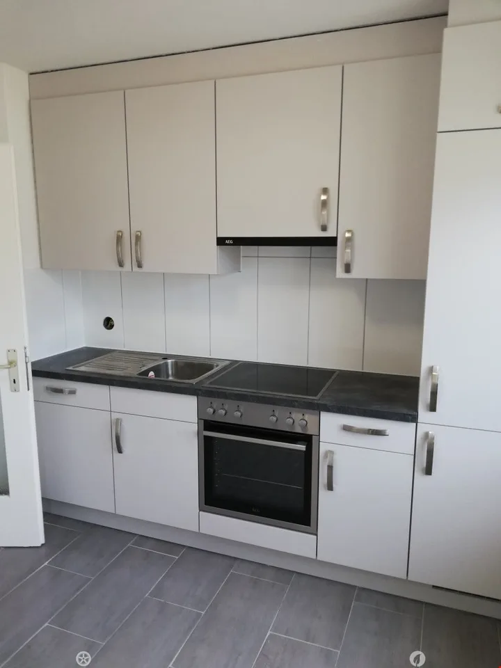 Ampio appartamento ristrutturato 3.5 locali con 2 balconi – foto 2 di 9