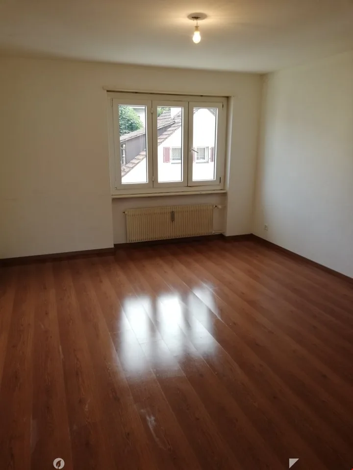 Ampio appartamento ristrutturato 3.5 locali con 2 balconi – foto 7 di 9