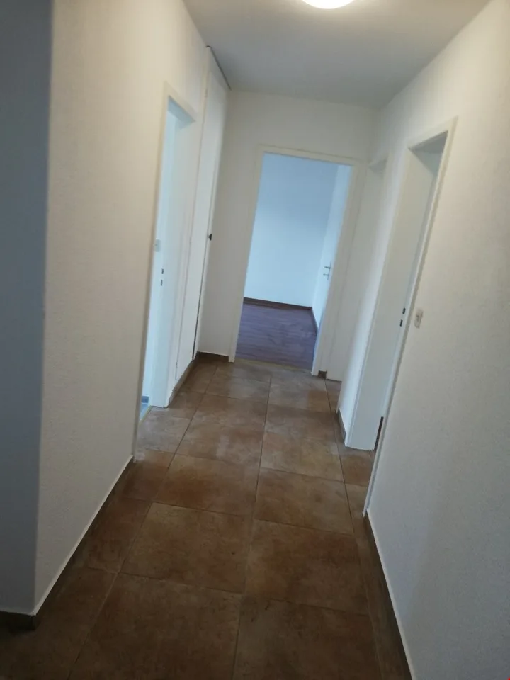 Ampio appartamento ristrutturato 3.5 locali con 2 balconi – foto 8 di 9
