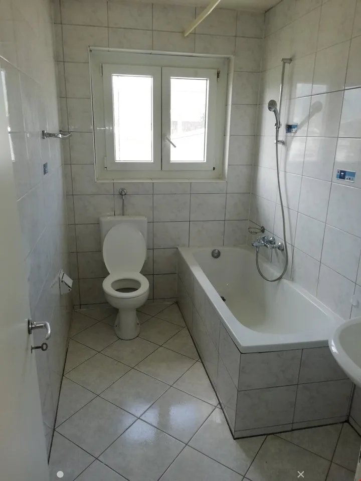 Ampio appartamento ristrutturato 3.5 locali con 2 balconi – foto 4 di 9