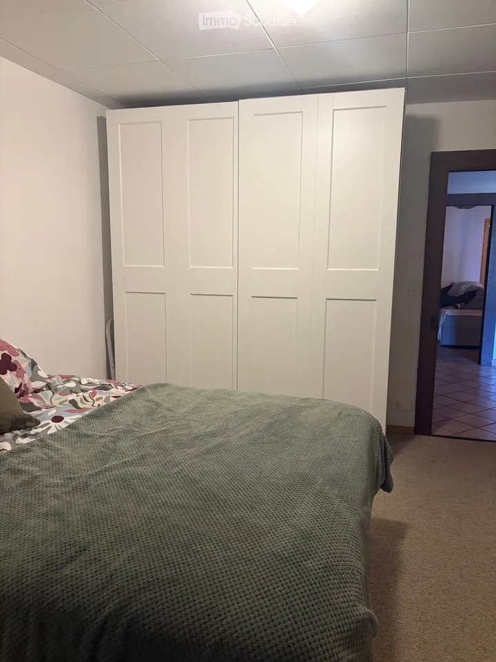 Large and bright 2.5-room apartment in Apples