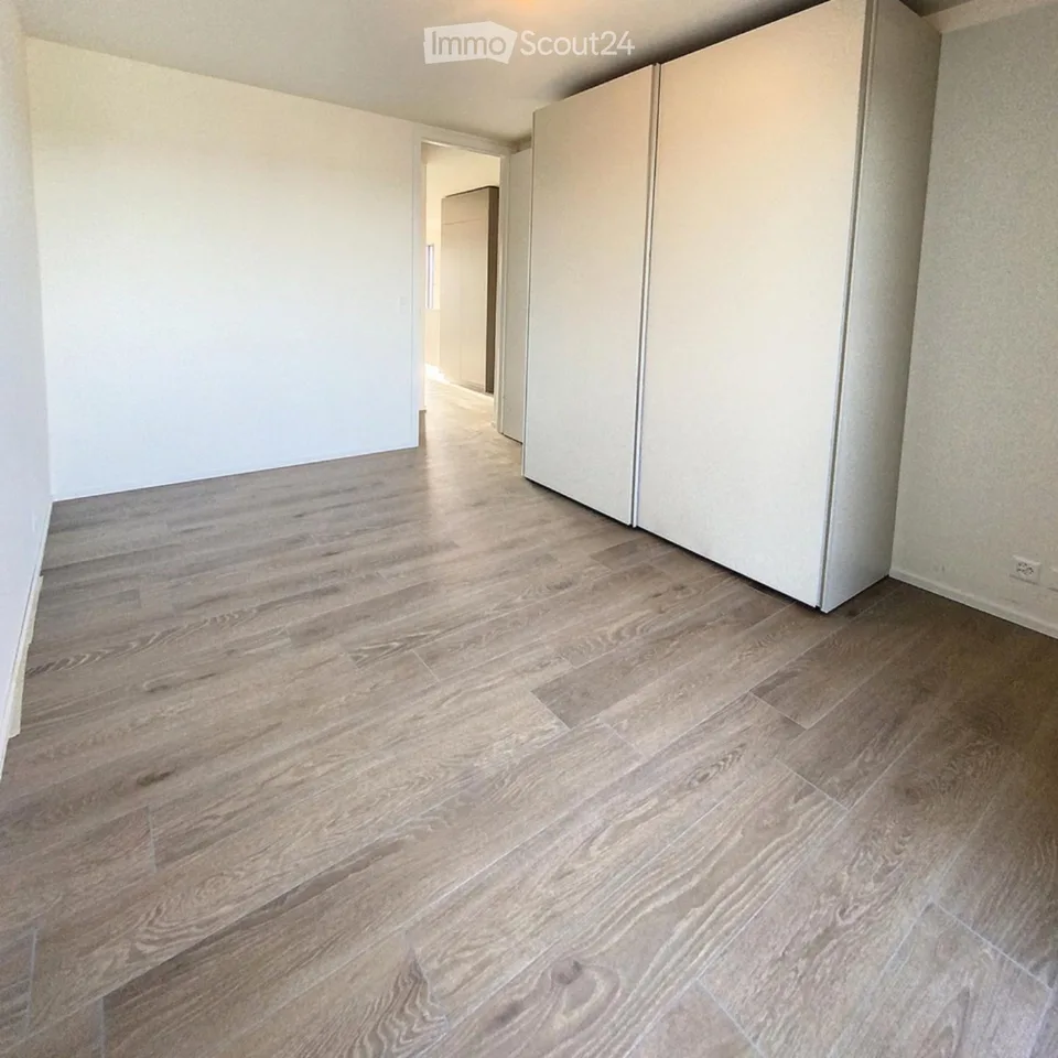 Bello appartamento 2.5 locali in affitto