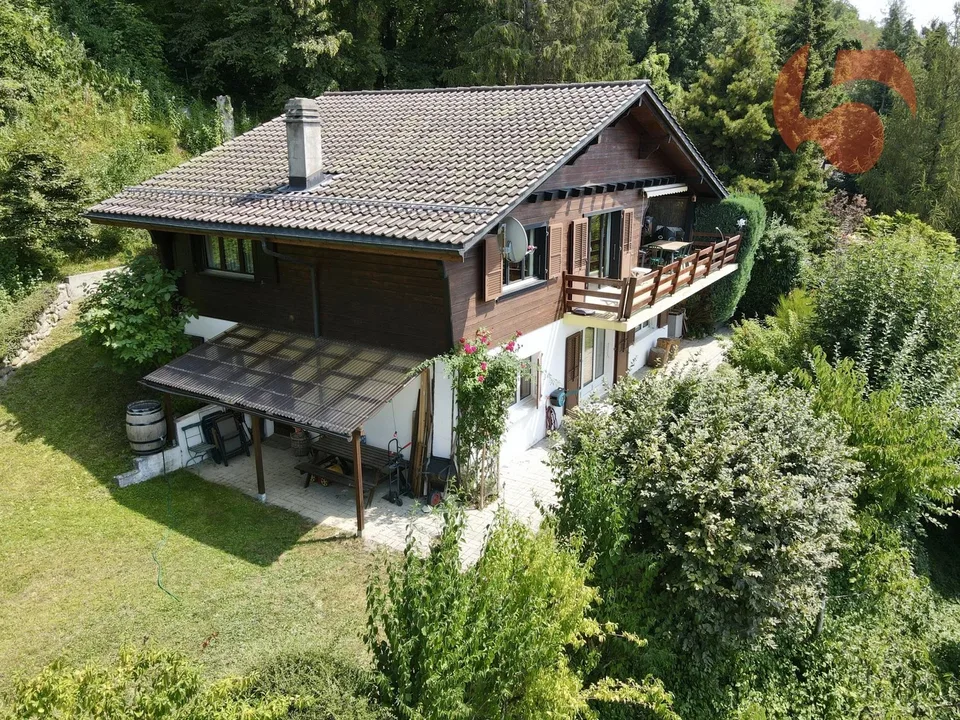 Familienschale mit atemberaubendem Blick in Blonay-Saint-Légier – Foto 2 von 13