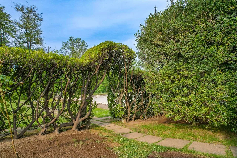 Bellissima villa immersa nel verde, con ampi spazi esterni, piscina e – foto 5 di 13