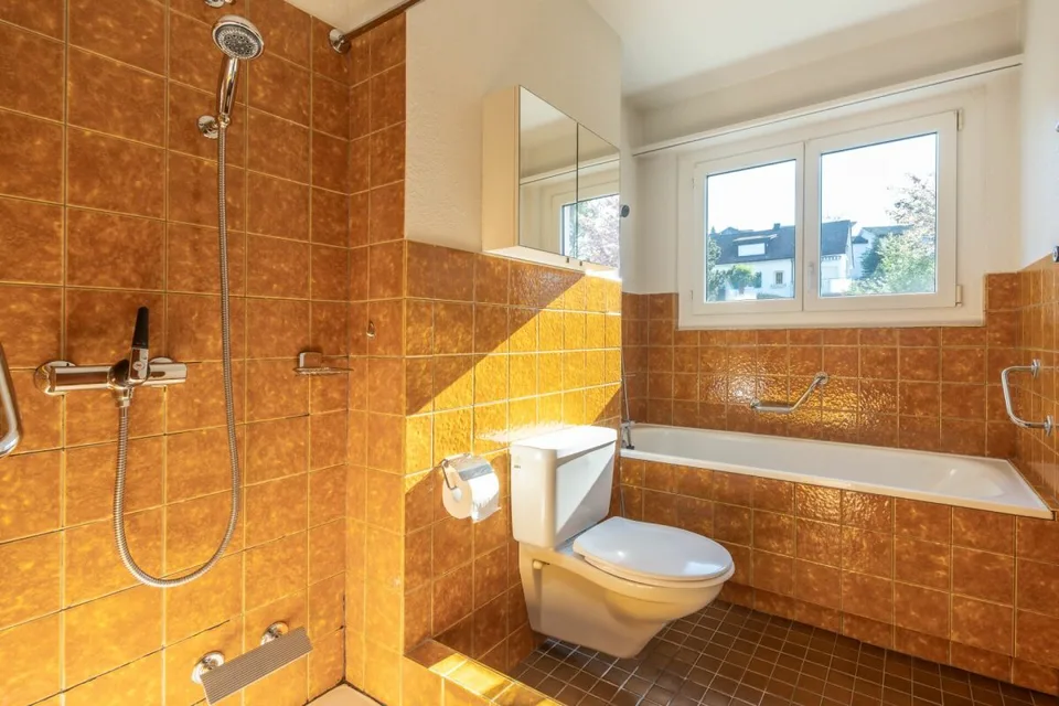 Vivere Vicino alle Cascate del Reno – foto 9 di 15