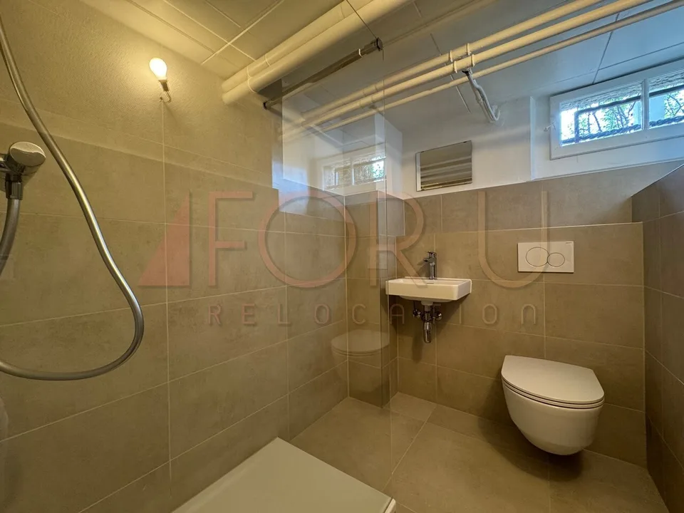 Bella casa individuale ristrutturata con grande giardino a Chêne-Bourg