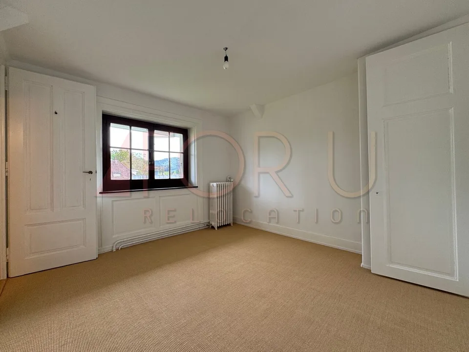 Bella casa individuale ristrutturata con grande giardino a Chêne-Bourg