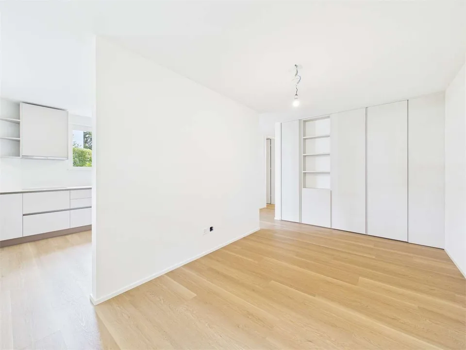 Appartement spacieux d'une pièce complètement rénové – photo 4 sur 8