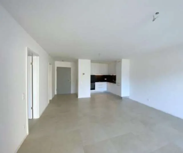 Nuovo e luminoso appartamento 2.5 locali con grande terrazzo in affitt