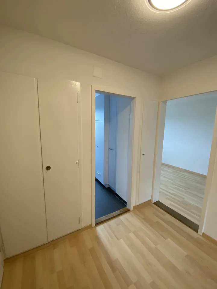 Cozy Apartment