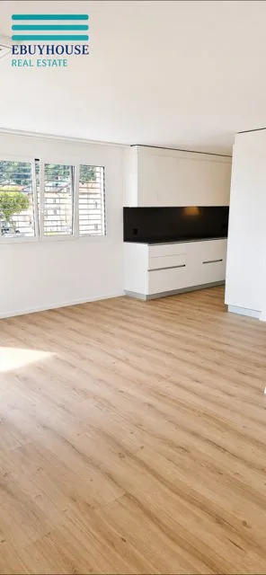 Locarno Solduno moderne Wohnung mit schöner Terrasse – Foto 11 von 13