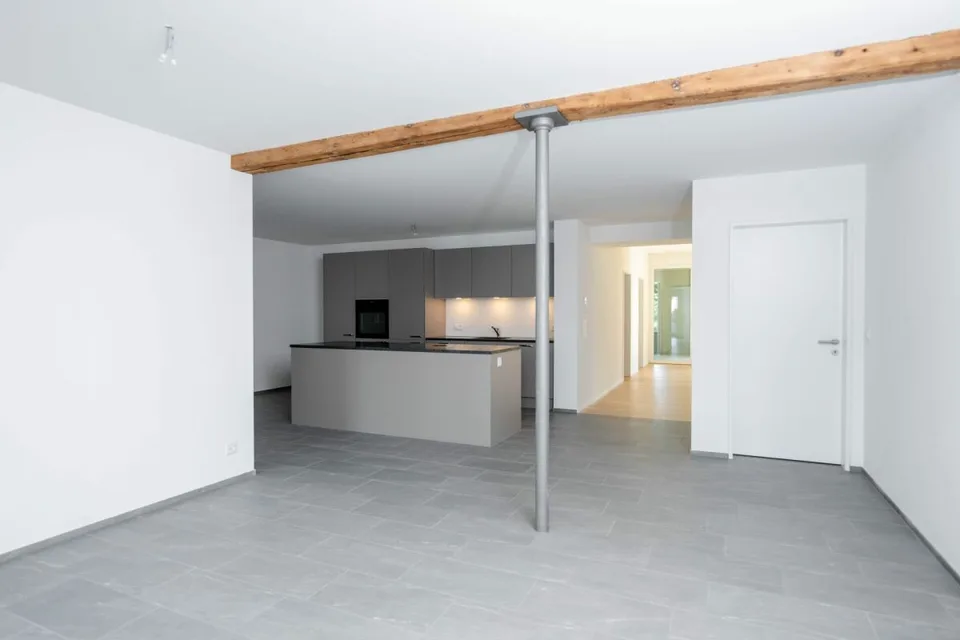 Appartement spacieux 4.5 pièces avec détails élégants