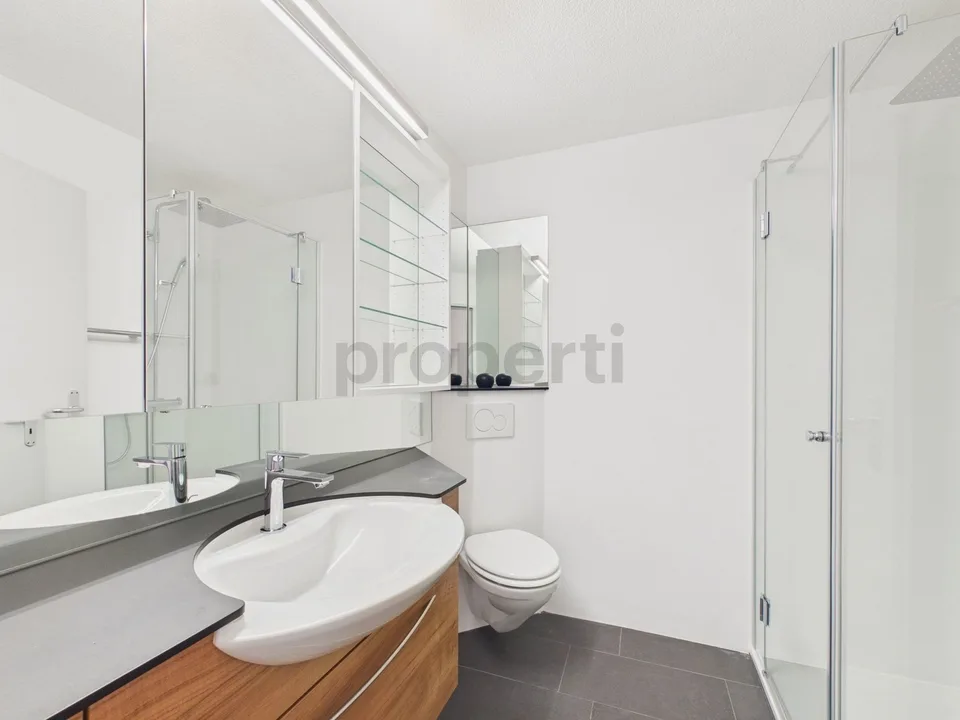 Appartamento di 3,5 locali ristrutturato, Schönenberg TG – foto 11 di 13