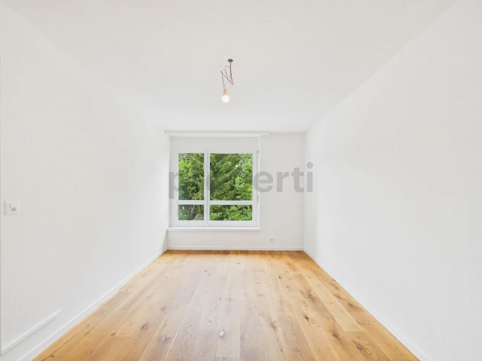 Appartamento di 3,5 locali ristrutturato, Schönenberg TG – foto 8 di 13